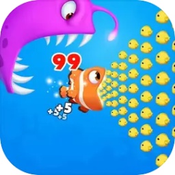 球速体育app